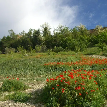 Pozzuolo Vakantieboerderij *