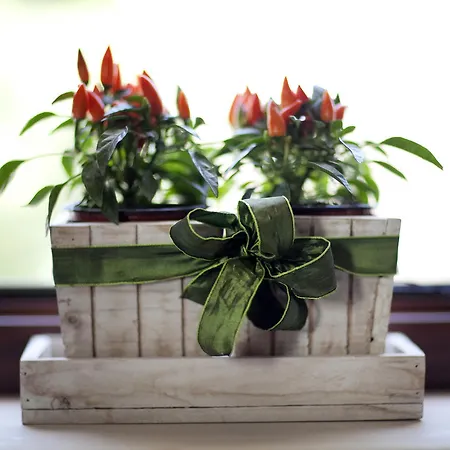 Pozzuolo Vakantieboerderij