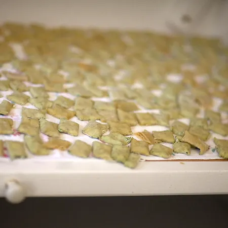 Vakantieboerderij Pozzuolo Serrungarina