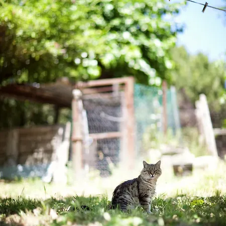 Vakantieboerderij Pozzuolo